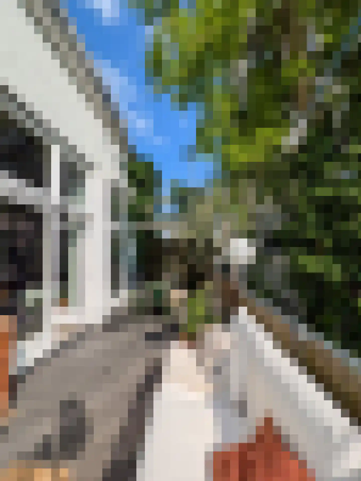 Vijfzinnenstraat 103 Arnhem thumbnail 32