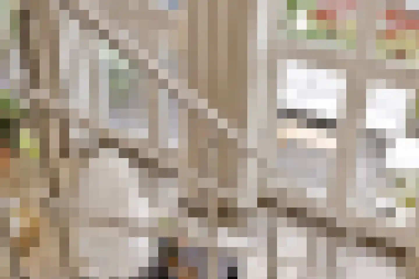 Vijfzinnenstraat 103 Arnhem thumbnail 33