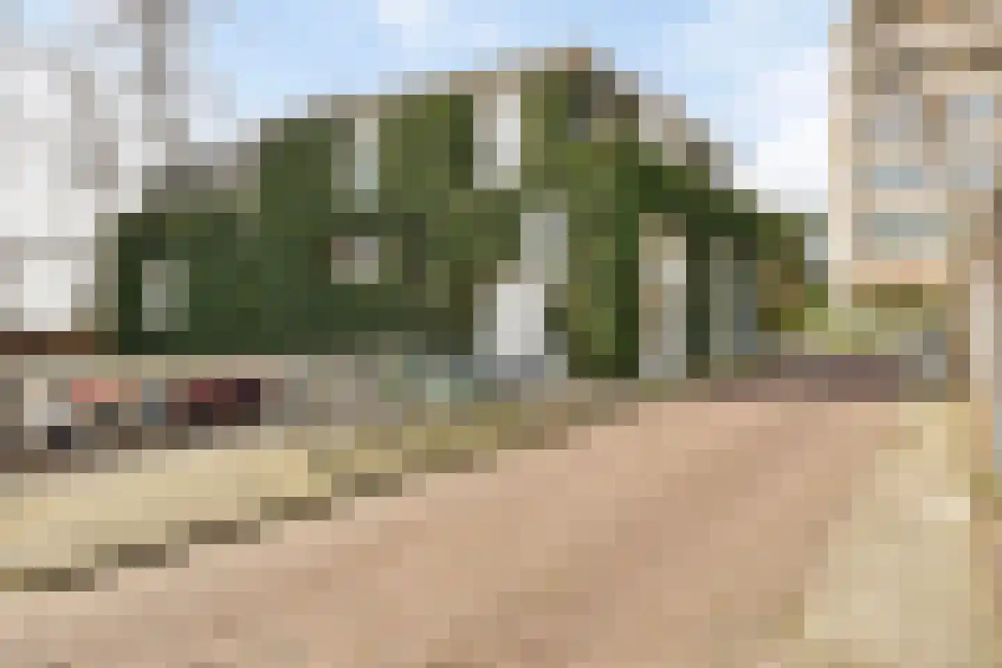Vijfzinnenstraat 103 Arnhem thumbnail 56