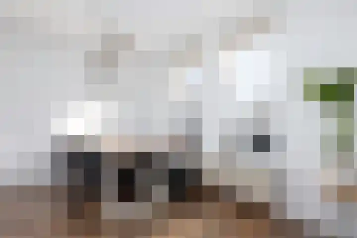 Vijfzinnenstraat 12 Arnhem thumbnail 18
