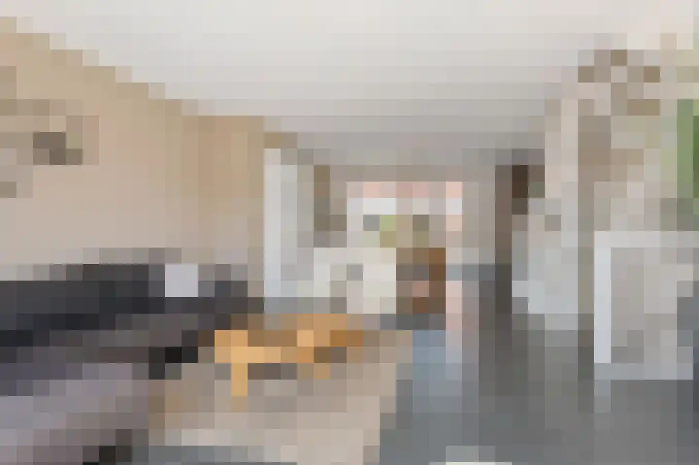 Vijgenboomhof 4 IJmuiden thumbnail 15