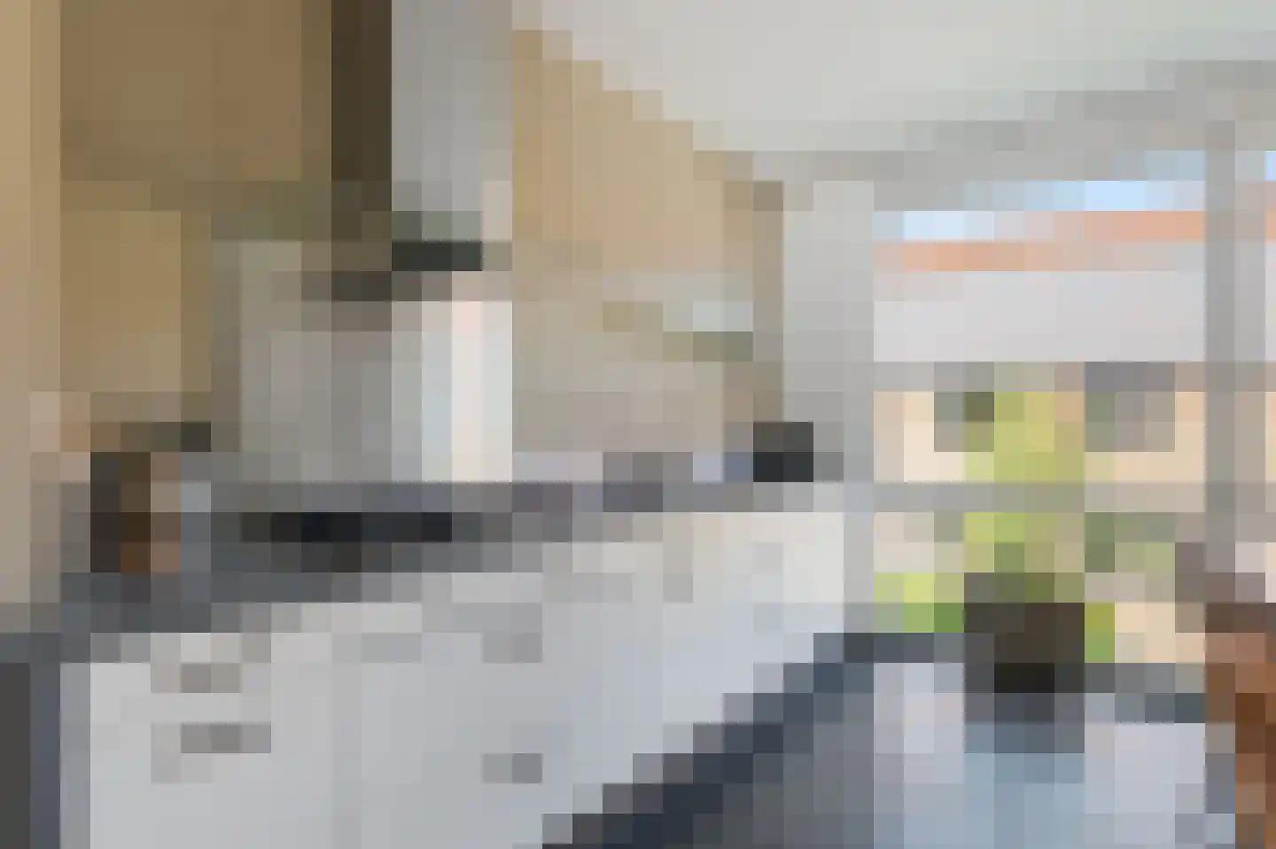 Vijgenboomhof 4 IJmuiden thumbnail 18