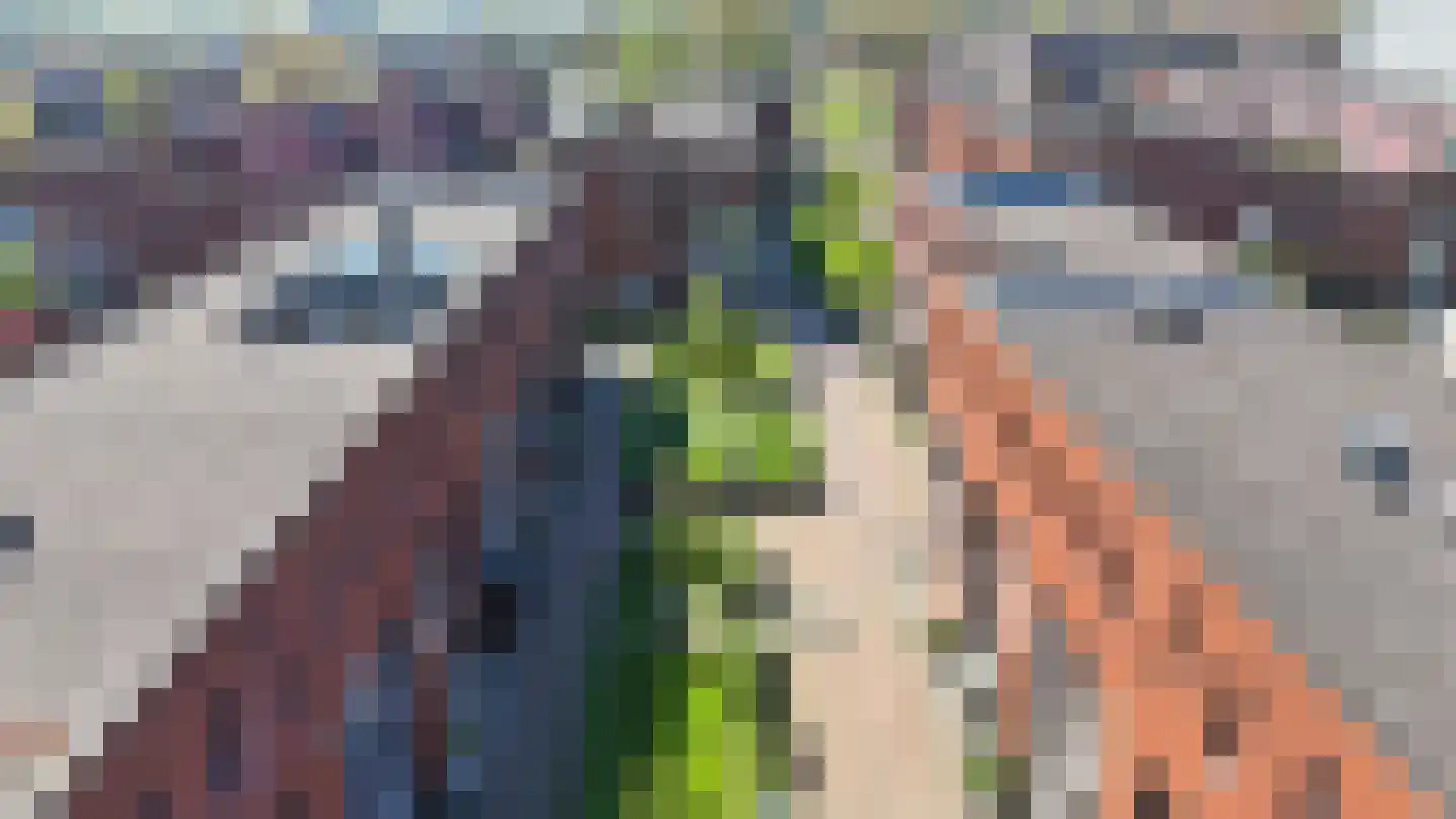 Vijgenboomhof 4 IJmuiden thumbnail 47