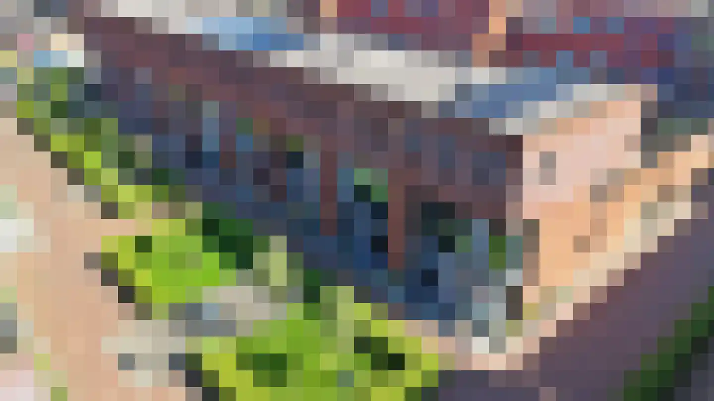Vijgenboomhof 4 IJmuiden thumbnail 5