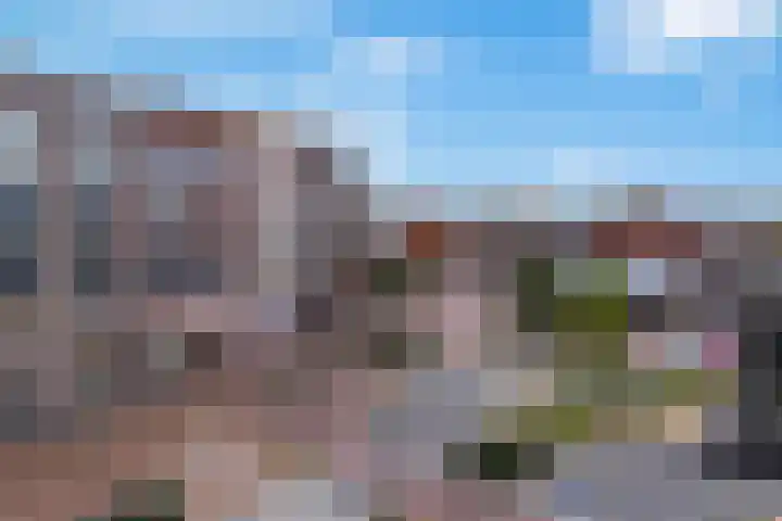 Vijgendam 2 12 Veenendaal thumbnail 15