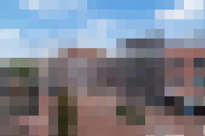 Vijgendam 2 12 Veenendaal thumbnail 16