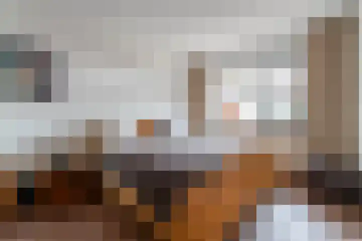 Vijgendam 2 12 Veenendaal thumbnail 17