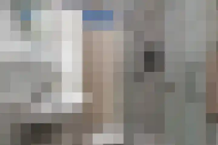 Vijgendam 2 12 Veenendaal thumbnail 23