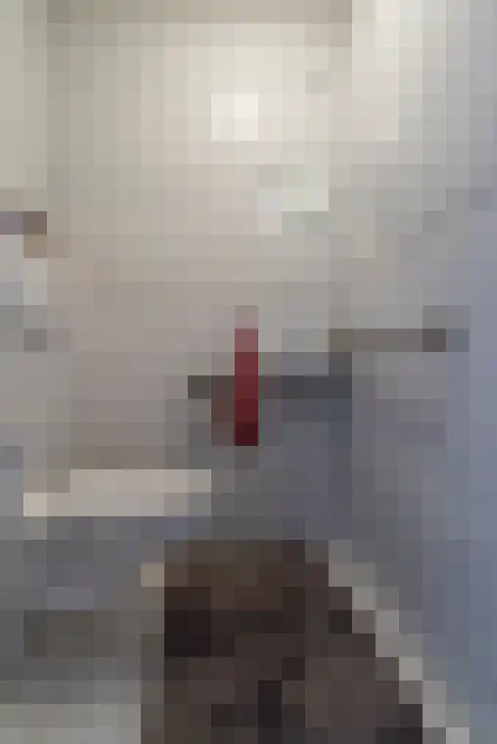 Vijgendam 2 12 Veenendaal thumbnail 24
