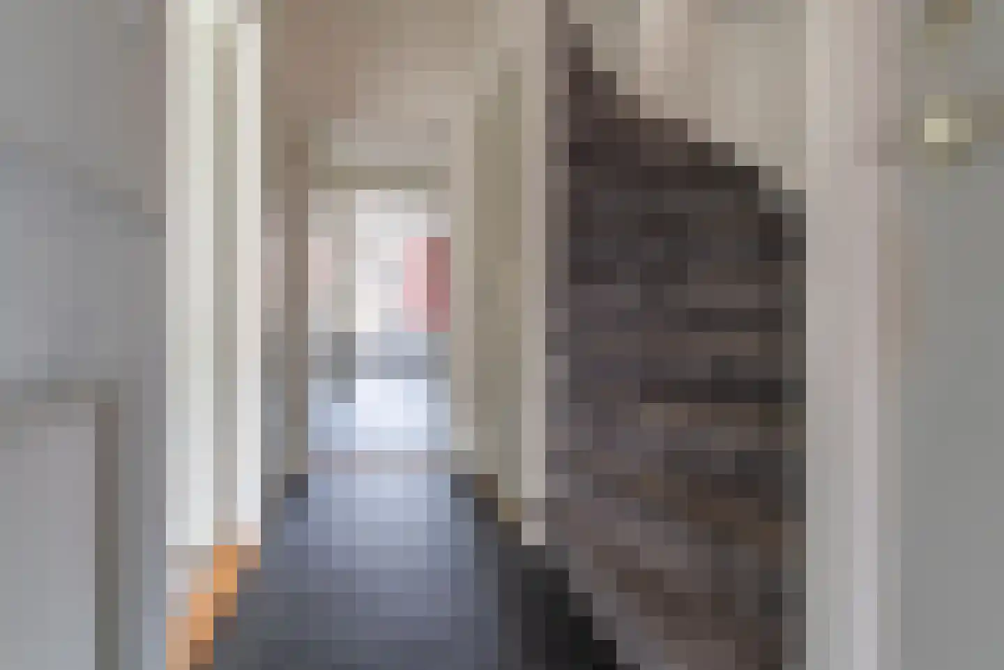 Vijgendam 9 Veenendaal thumbnail 11