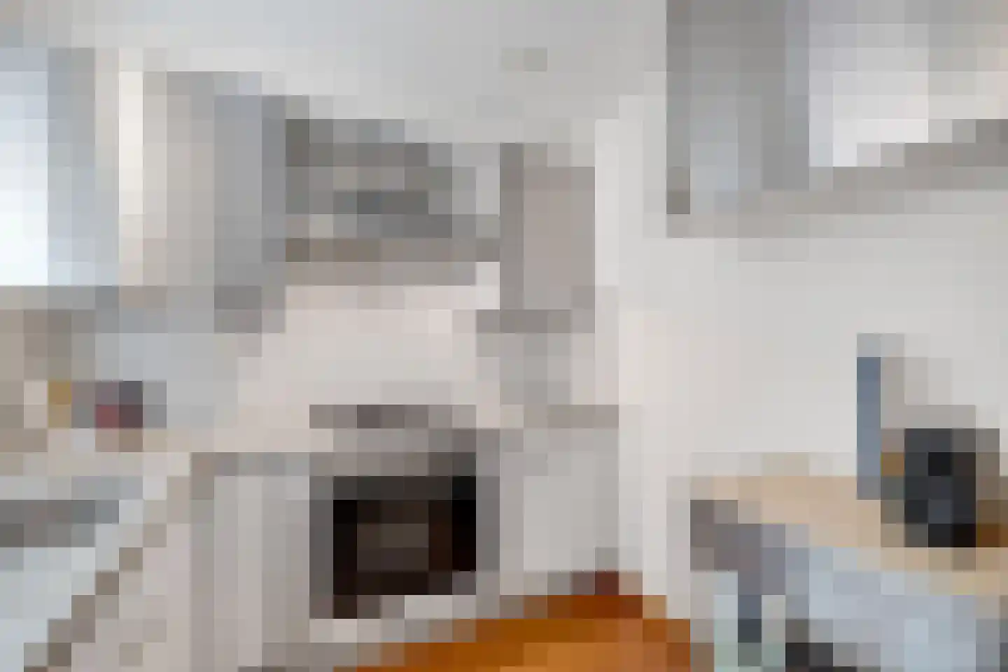Vijgensteeg 23 Schiedam thumbnail 15