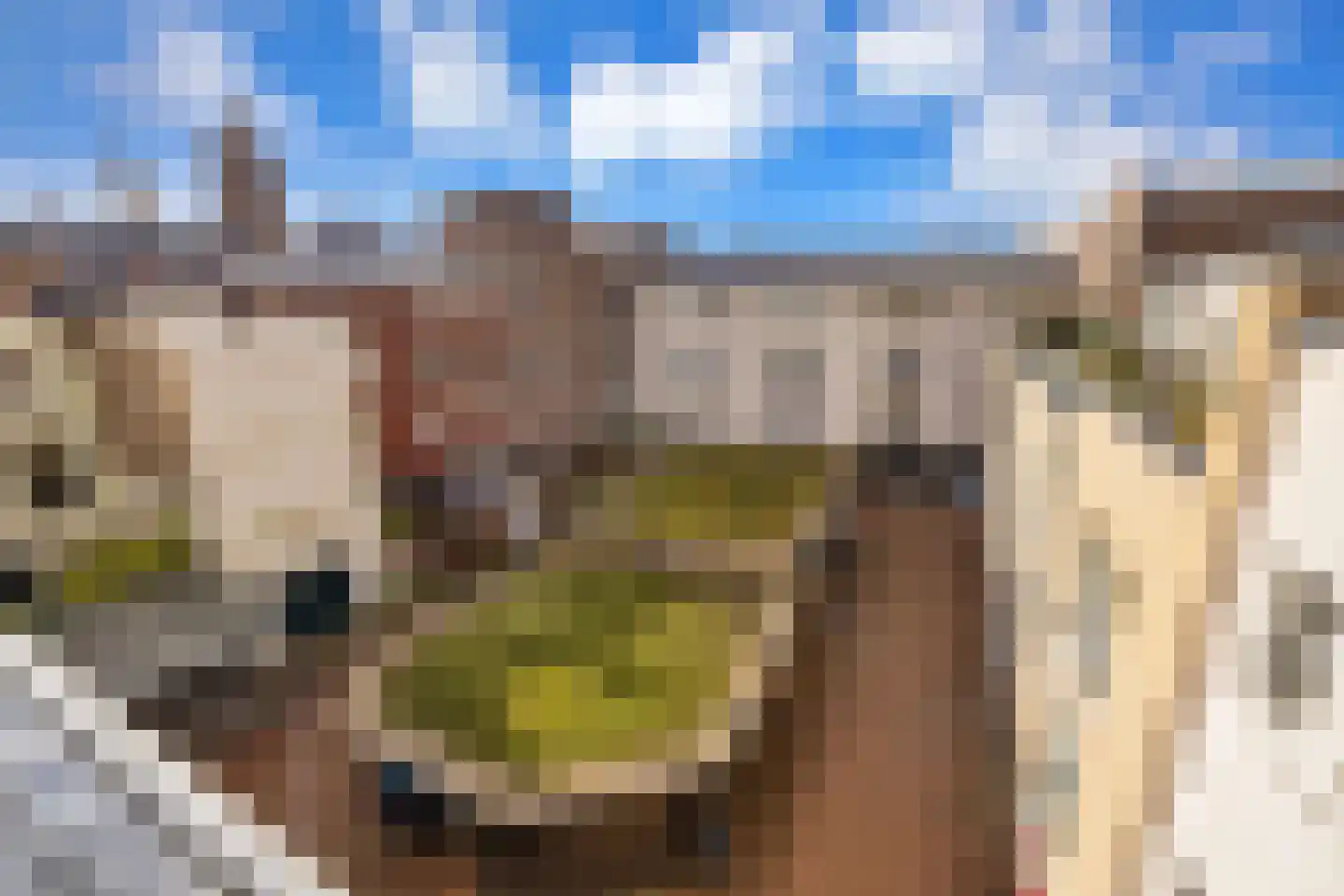 Vijgensteeg 23 Schiedam thumbnail 32