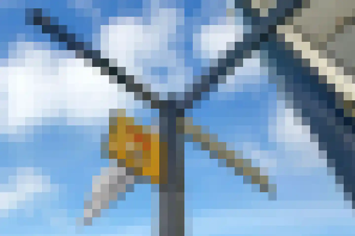Vijgensteeg 23 Schiedam thumbnail 37
