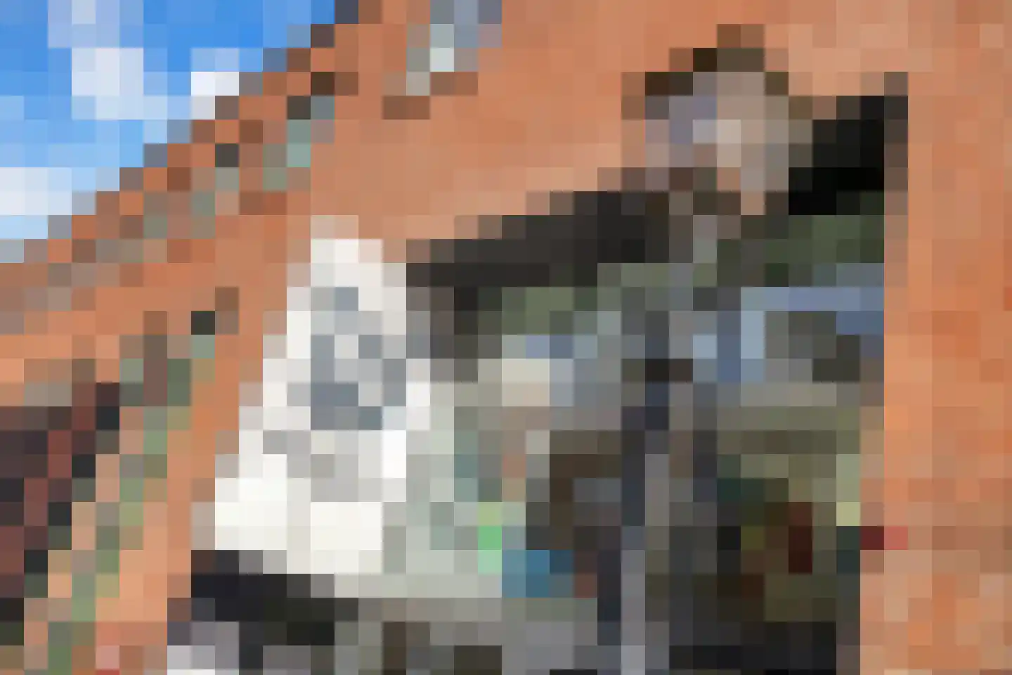 Vijgensteeg 23 Schiedam thumbnail 39