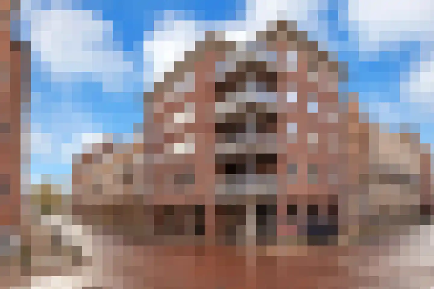 Vijgensteeg 23 Schiedam thumbnail 40