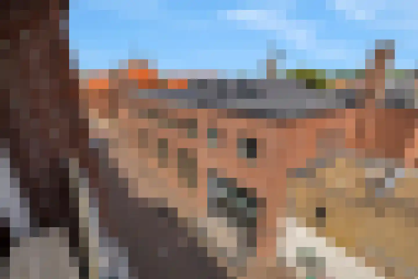Vijgensteeg 5 Schiedam thumbnail 18