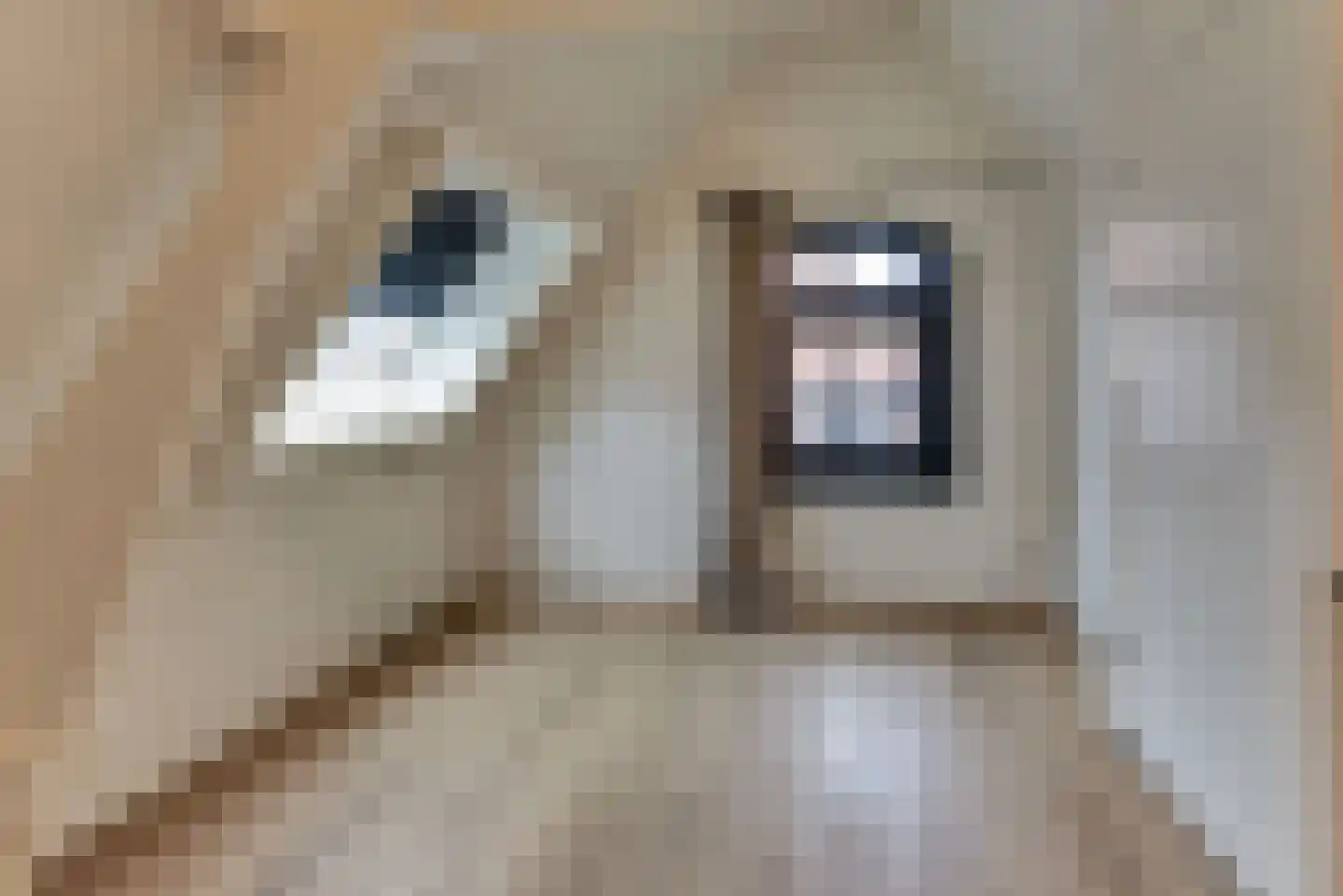 Vijhestraat 34 B Harderwijk thumbnail 8