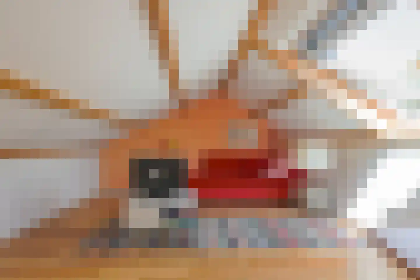Vijlenberg 101 Vijlen thumbnail 22