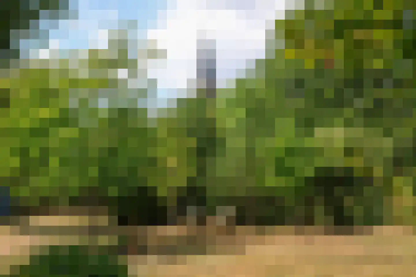 Vijlenberg 101 Vijlen thumbnail 29