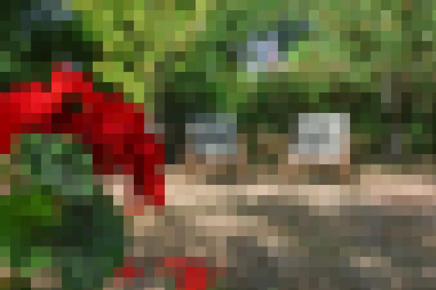 Vijlenberg 101 Vijlen thumbnail 30