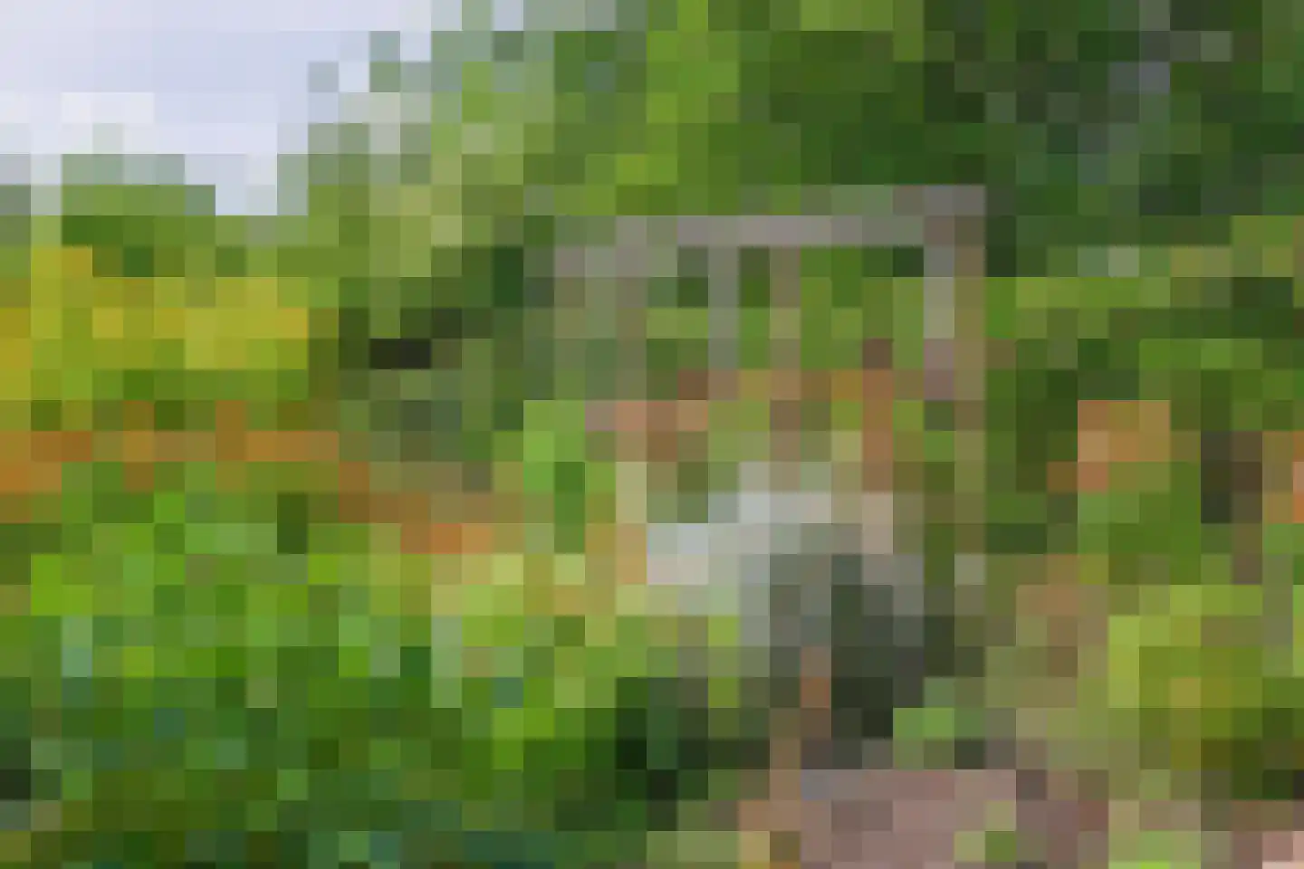 Vijlenberg 101 Vijlen thumbnail 32