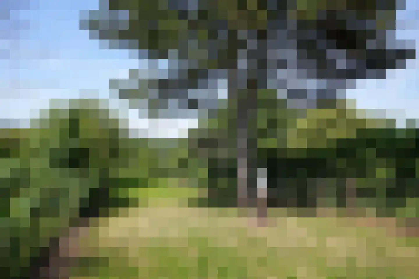 Vijlenberg 18 Vijlen thumbnail 20