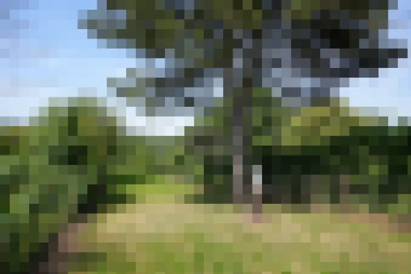 Vijlenberg 18 Vijlen thumbnail 20