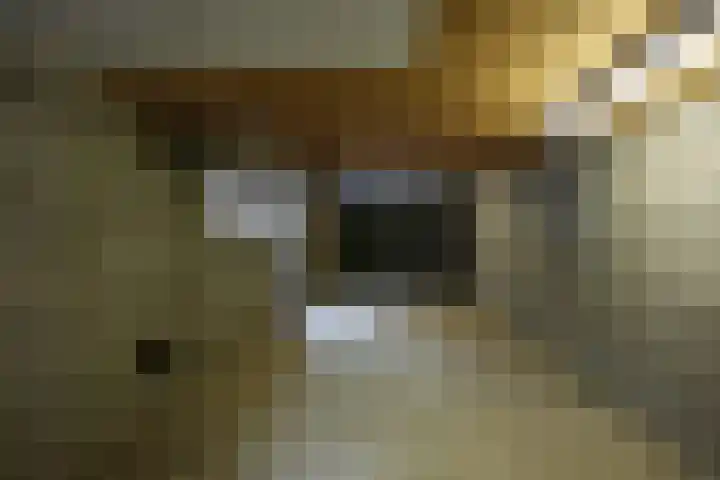 Vijlenberg 183 Vijlen thumbnail 24