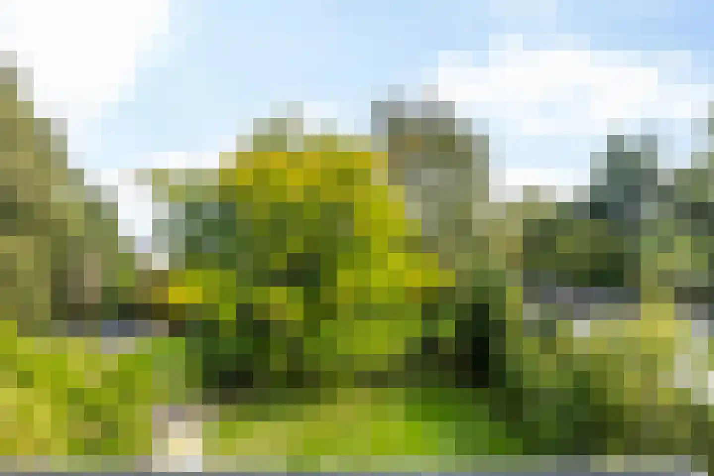 Vijlenberg 19 Vijlen thumbnail 21