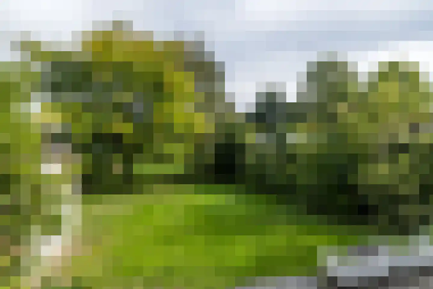 Vijlenberg 19 Vijlen thumbnail 31