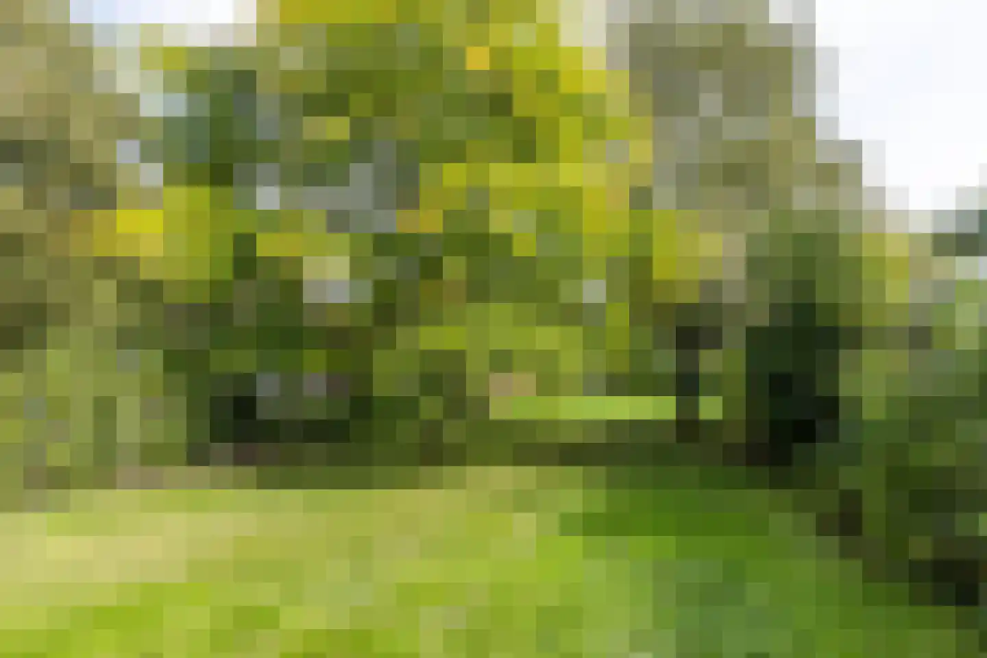 Vijlenberg 19 Vijlen thumbnail 33