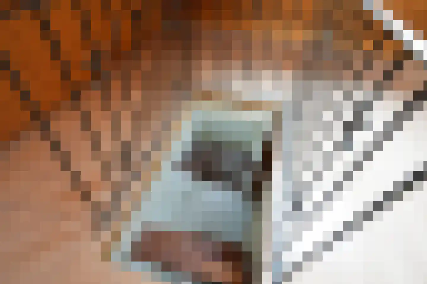 Vijlenberg 22 Vijlen thumbnail 18