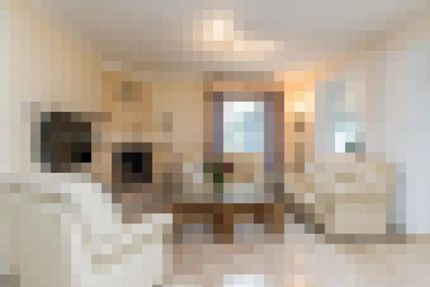 Vijlenberg 84 Vijlen thumbnail 6