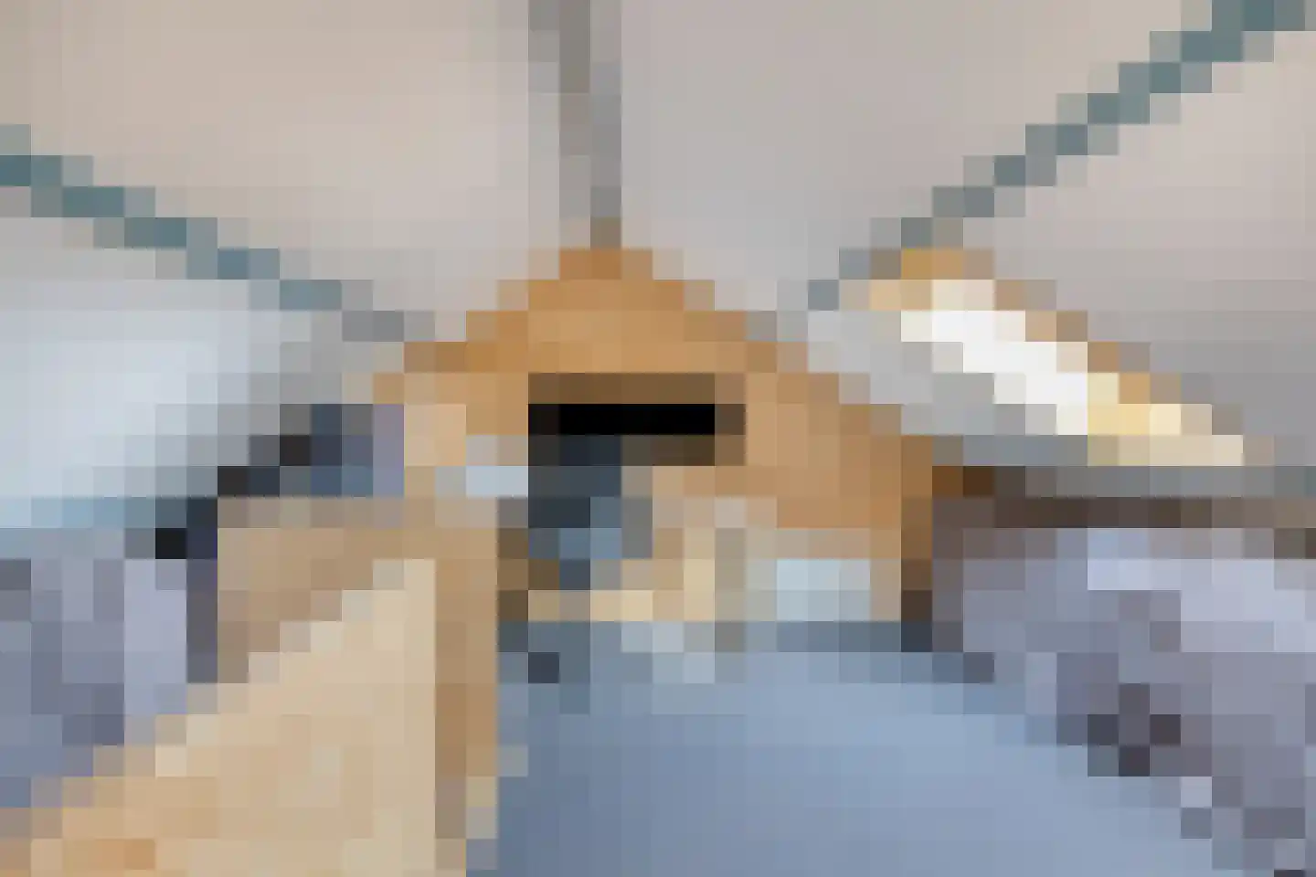 Vijlenberg 93 Vijlen thumbnail 23