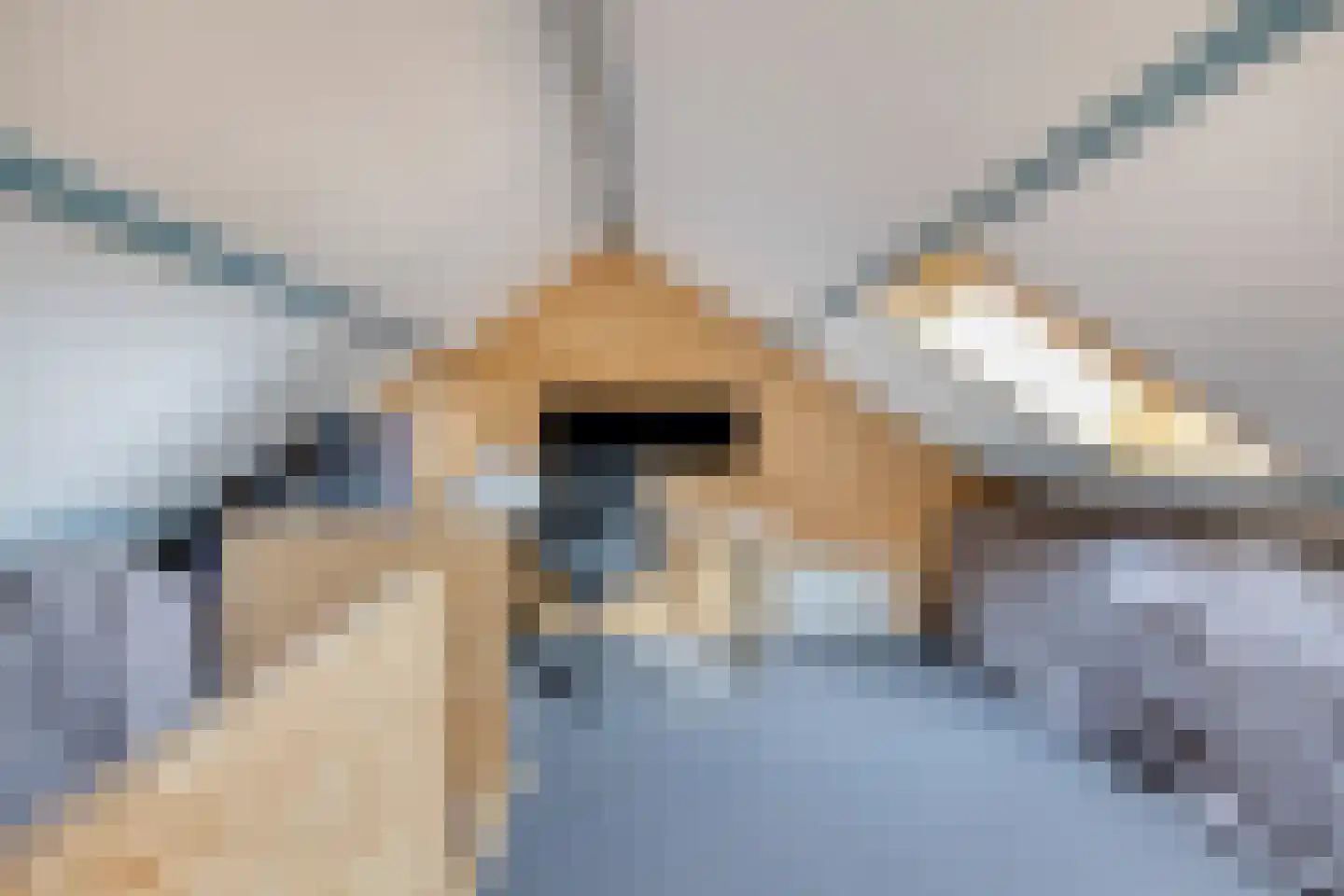 Vijlenberg 93 Vijlen thumbnail 24