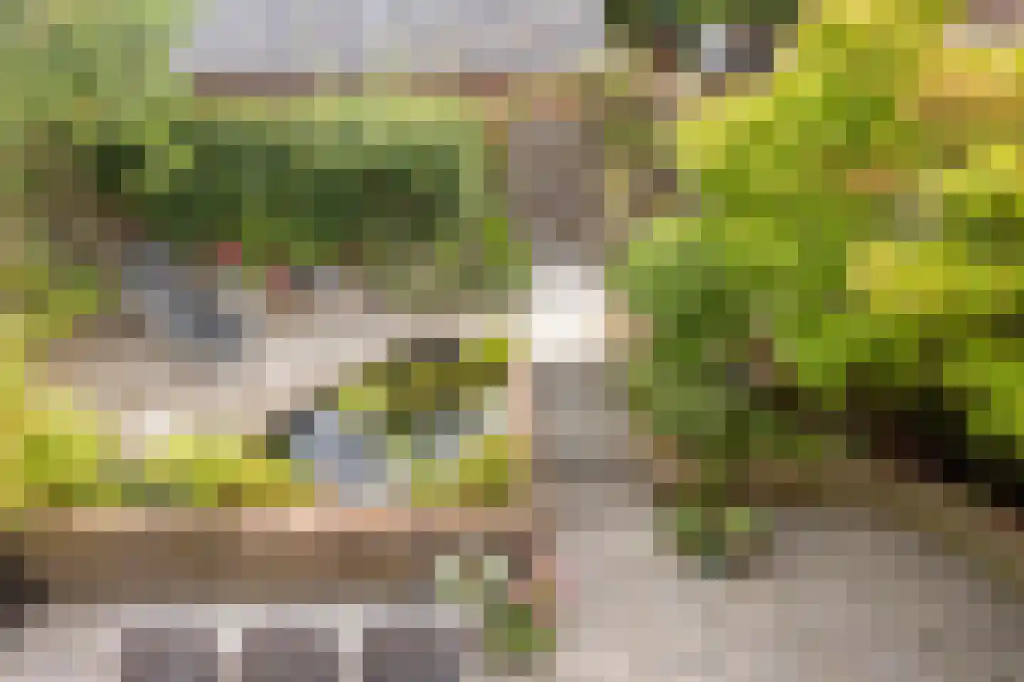 Vijlenberg 93 Vijlen thumbnail 28