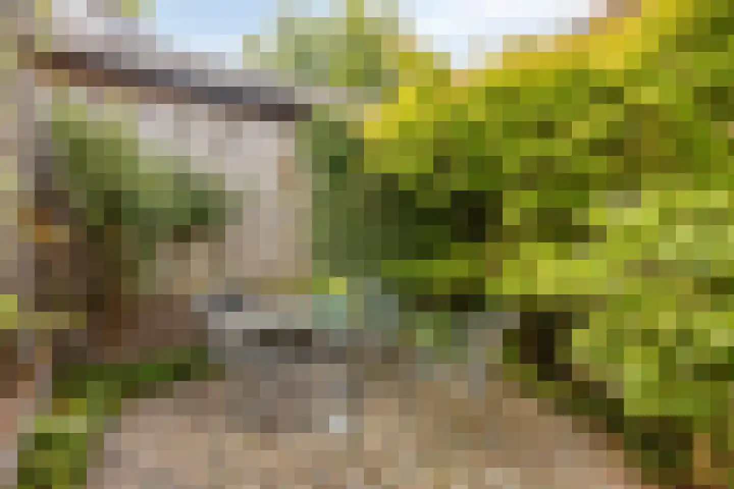 Vijlenberg 93 Vijlen thumbnail 32