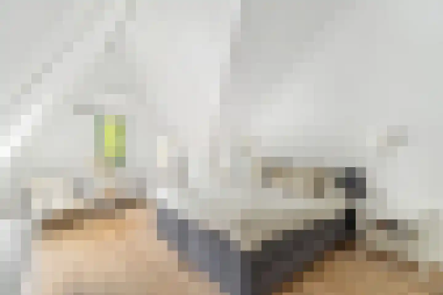 Vijlenerberg 6 Amersfoort thumbnail 24