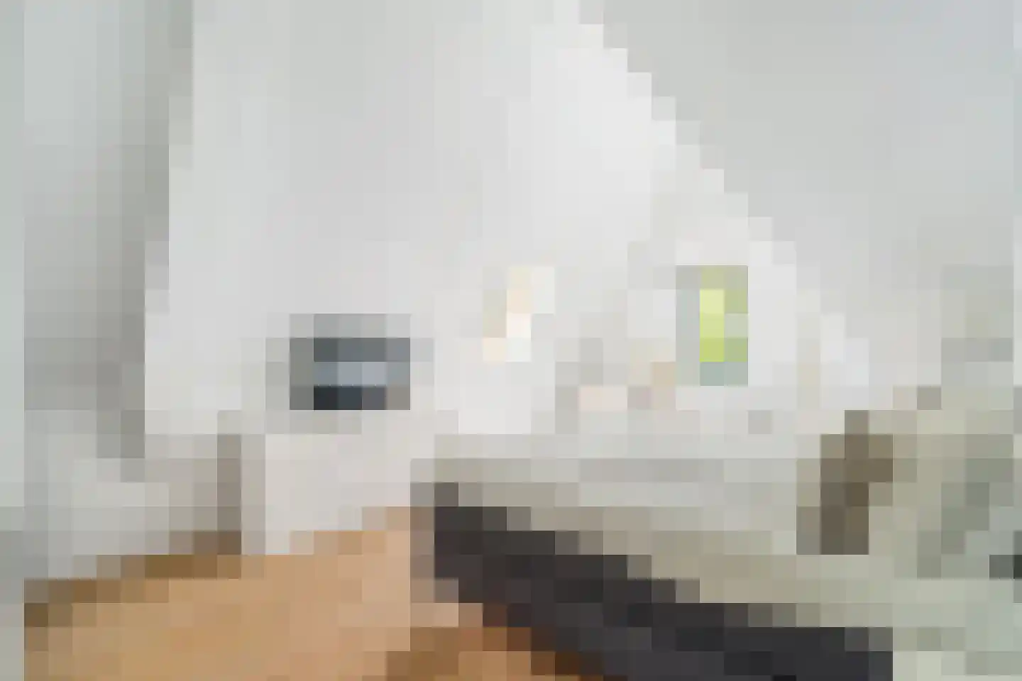 Vijlenerberg 6 Amersfoort thumbnail 25