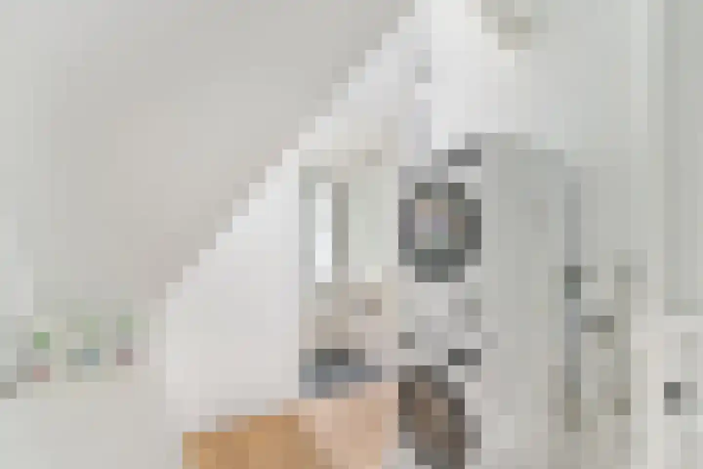 Vijlenerberg 6 Amersfoort thumbnail 28