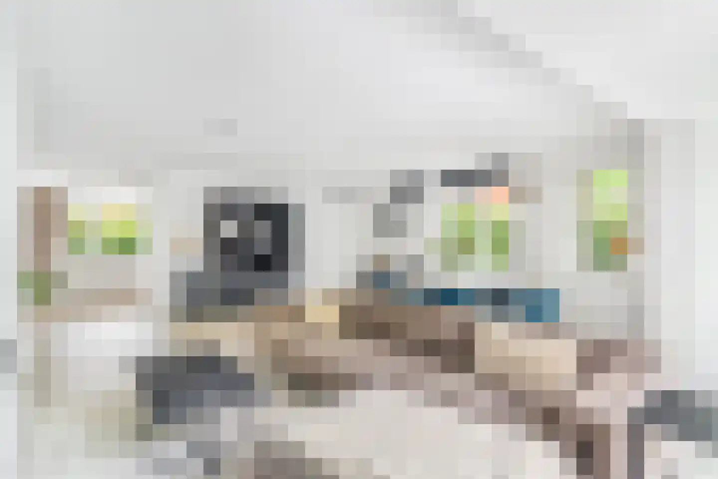 Vijlenerberg 6 Amersfoort thumbnail 7