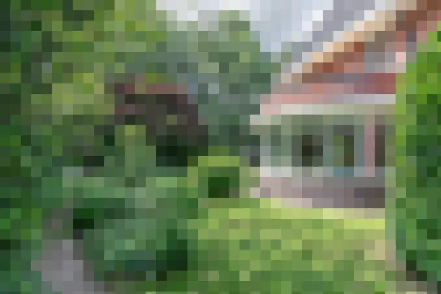Vijlenerberg 8 Amersfoort thumbnail 20