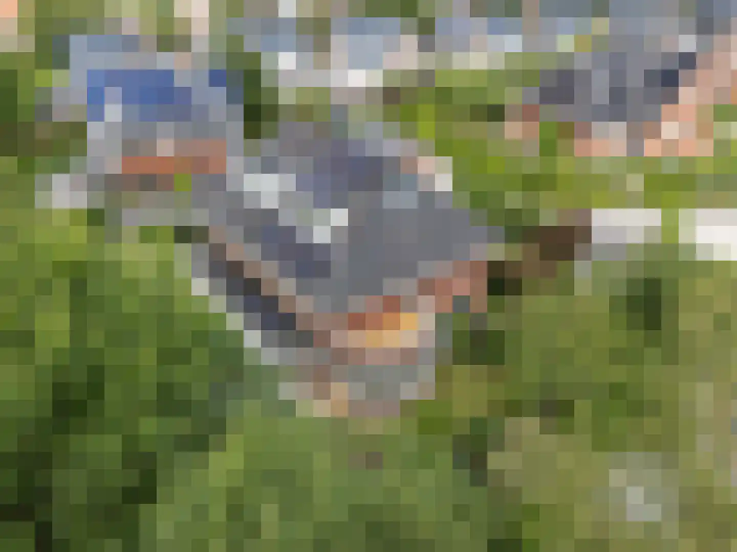 Vijlenerberg 8 Amersfoort thumbnail 32