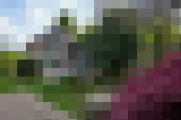 Vijlenstraat 47 Vijlen thumbnail 25
