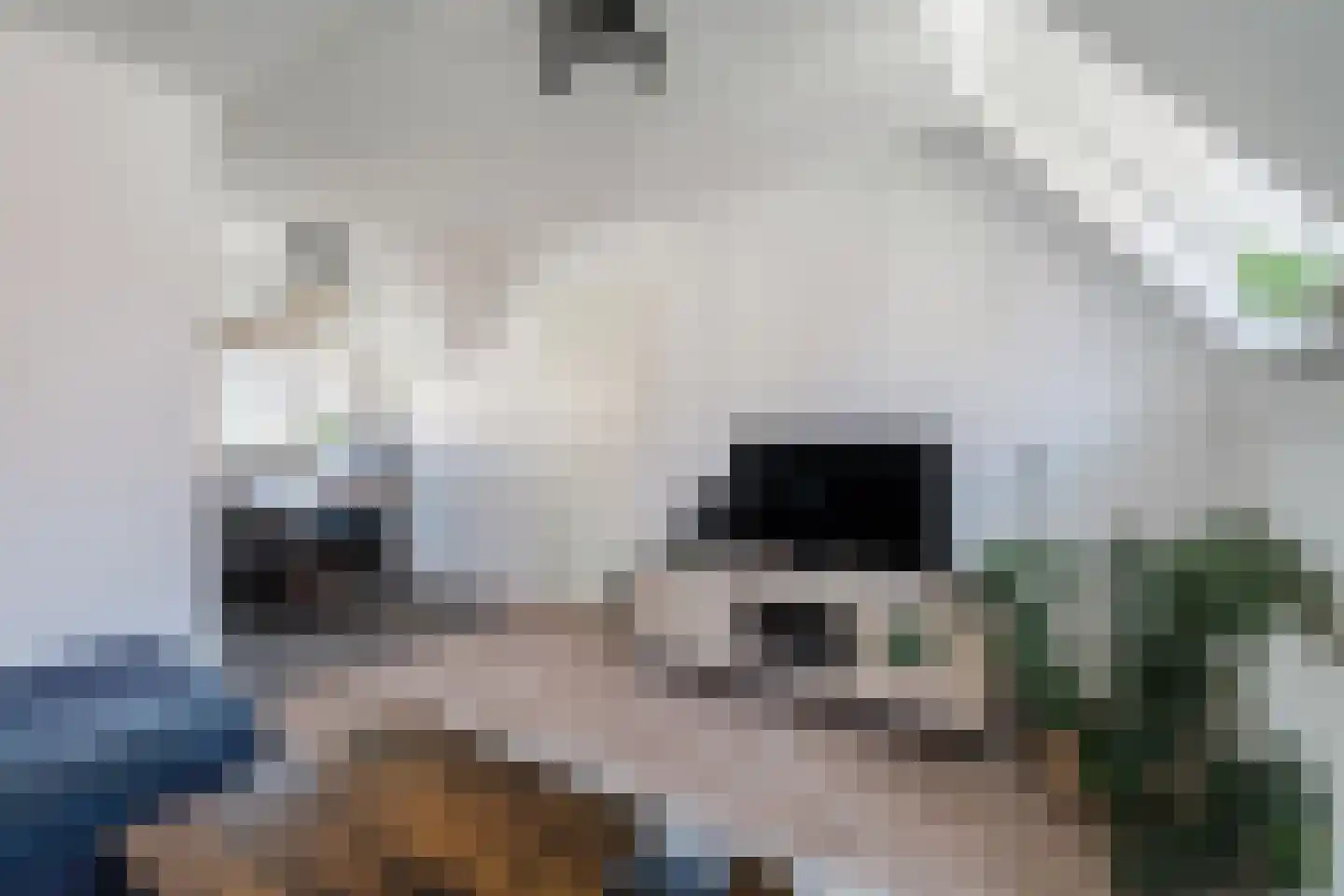 Vijver 25 A Amersfoort thumbnail 11