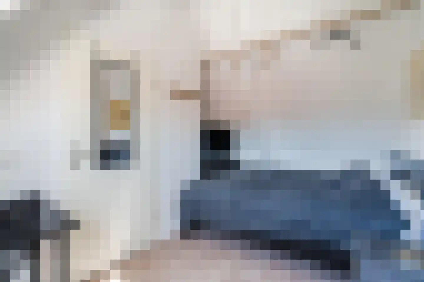 Vijver 25 A Amersfoort thumbnail 20