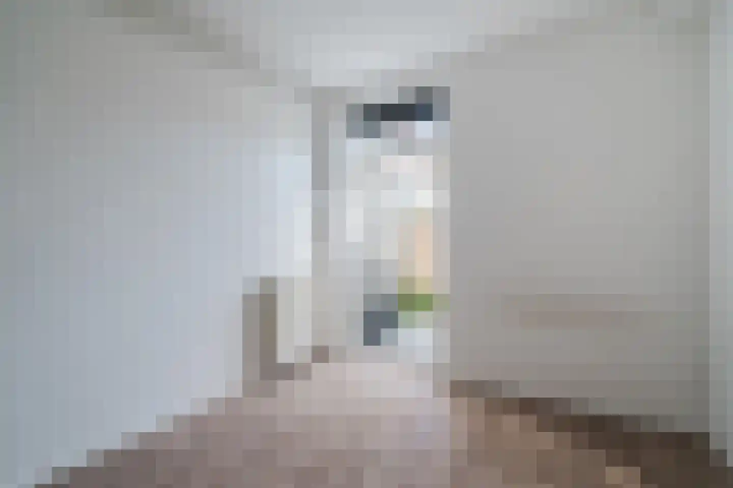 Vijver 25 A Amersfoort thumbnail 6
