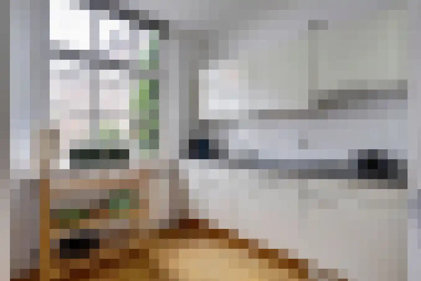 Vijver 33 Amersfoort thumbnail 11