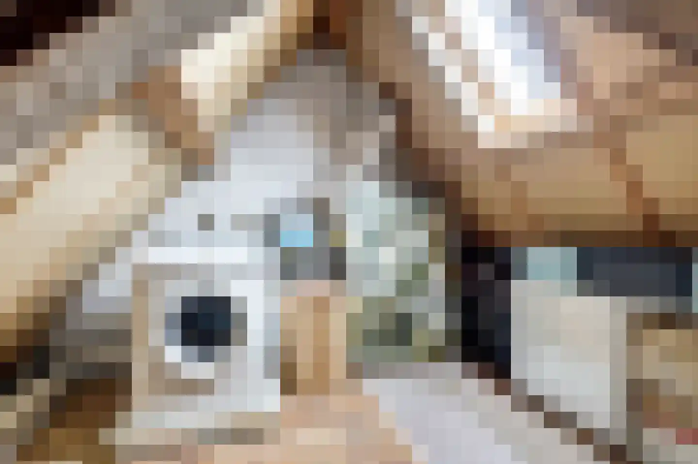 Vijver 33 Amersfoort thumbnail 20