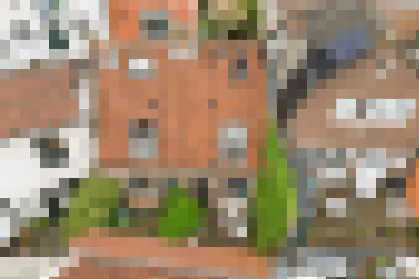 Vijver 33 Amersfoort thumbnail 27